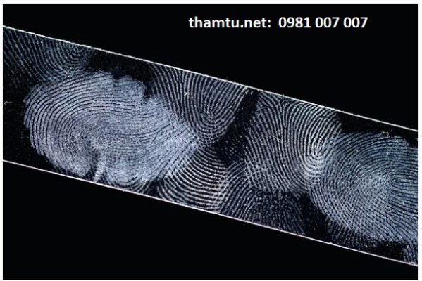  dịch vụ điều tra dấu vân tay