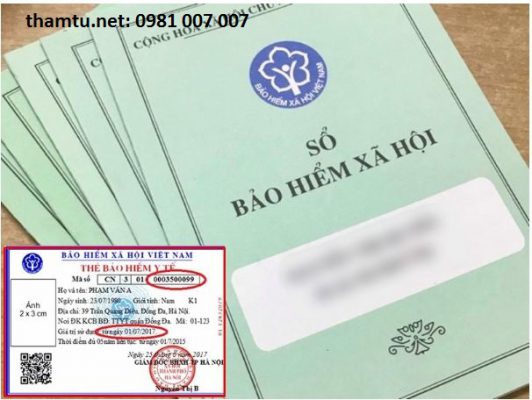 dich-vu-tra-cuu-qua-trinh-dong-bao-hiem-xa-hoi-bang-cmnd dịch vụ tra cứu quá trình đóng bảo hiểm xã hội bằng cmnd