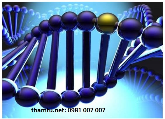 dich-vu-tham-tu-cau-giay dịch vụ thám tử cầu giấy